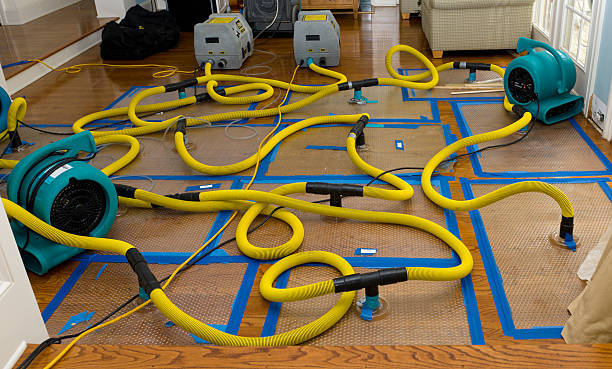 Professional Crawl Space Water Removal technician working in Richwoods, MO
